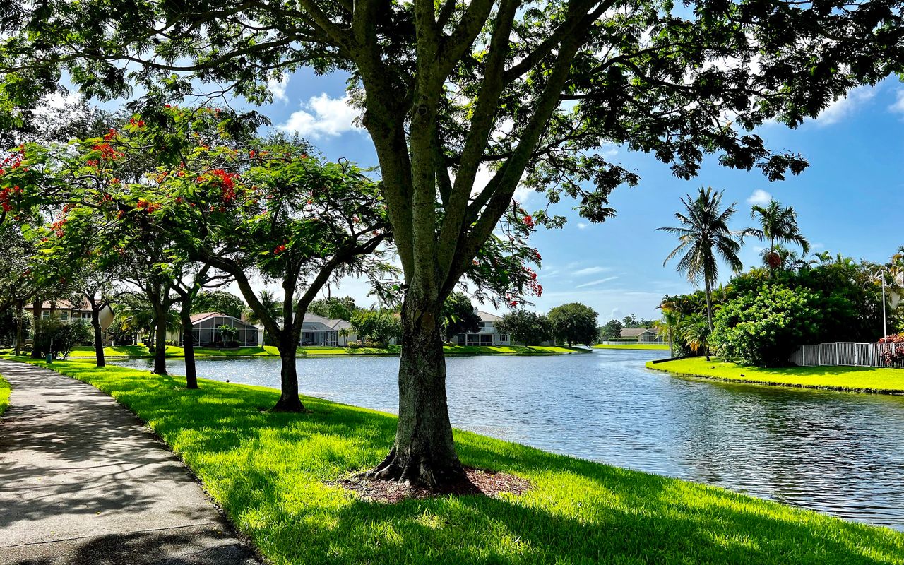 A shaded path beside a lake in Coconut Creek, flowering royal poincianas along it and houses across the water
