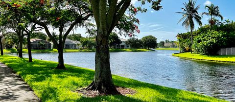 Houses across a lake, seen past a row of shade trees