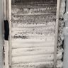 Frost packed solid on the evaporator coil behind a freezer’s back panel