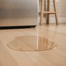 A puddle of water on a wood floor in front of a stainless ice maker