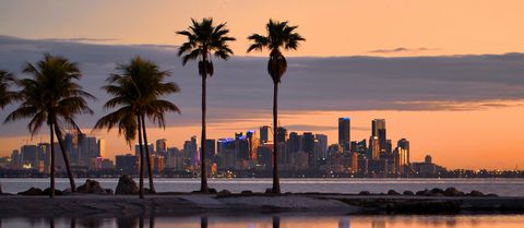 Palm trees in silhouette in front of the Miami skyline across Biscayne Bay, before sunrise