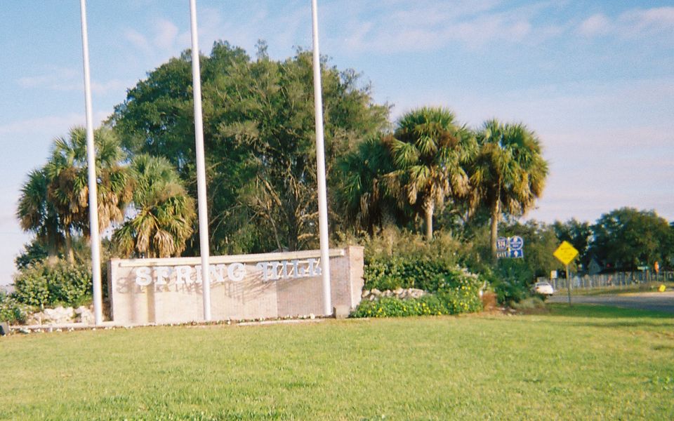 The Spring Hill entrance wall in raised letters on a lawn, with three flagpoles above it and palms and oaks behind