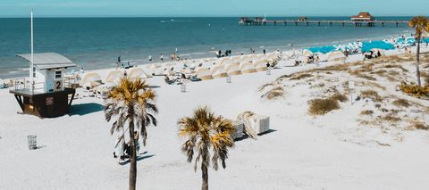 Palms on the white sand of Clearwater Beach
